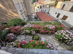 House Sarajevo /Stari Grad/EXCELLENT LOCATION photo 9