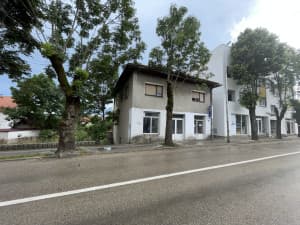 House Gacko