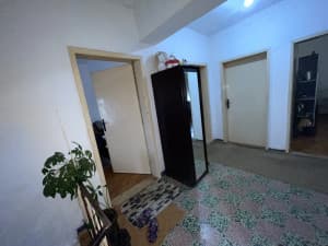 House Gacko photo 19