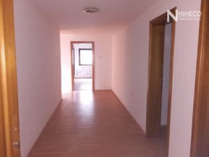 BUSINESS PREMISES - ROMANOVCI photo 5