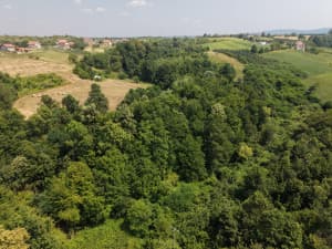 Premium IMANJE photo 11