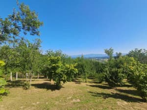 Weekend house Banja Luka 22km photo 23