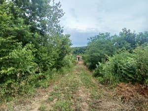 House Doboj photo 10