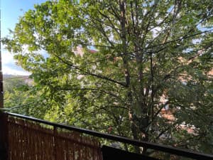 House 360m2 on a plot of 955m2 Ilidza Sokolovic colony photo 11