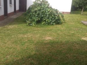 House Serici, Zivinice 170m2 photo 3