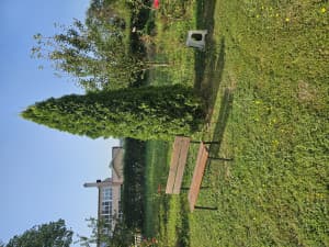 House Serici, Zivinice 170m2 photo 8