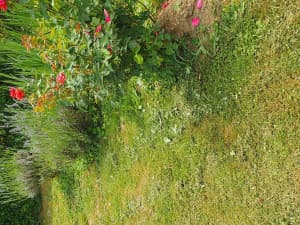 House Serici, Zivinice 170m2 photo 9