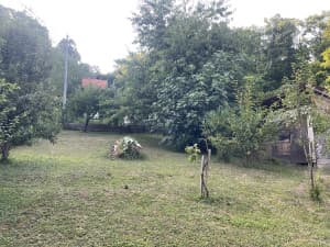 House for rent. photo 4
