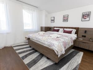 Villa Sarajevo D3 - house for day photo 6