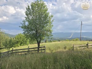 House Pale, ranch with 24332m2 of land, 5km from the center of Pale photo 13