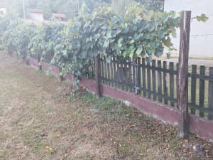 House Prijedor photo 5