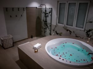 RENTAL Luxury holiday house with heated pool MOSTAR photo 4