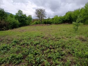 House Travnik photo 6