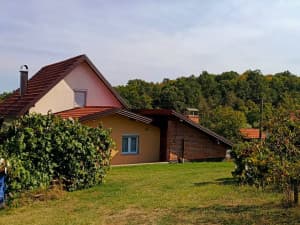 House Petrovo photo 4