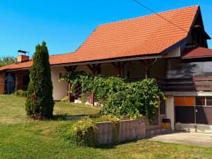 House Petrovo