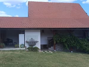 House Petrovo photo 11