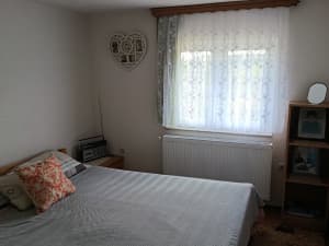 House Petrovo photo 17