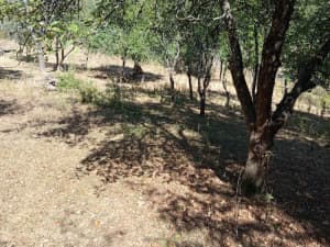 Land 5 ares and house in dilapidated condition Kiseljak photo 3