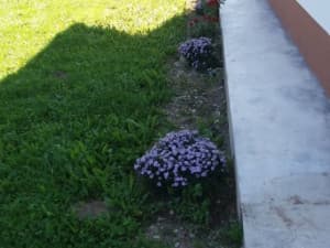 House Travnik photo 7