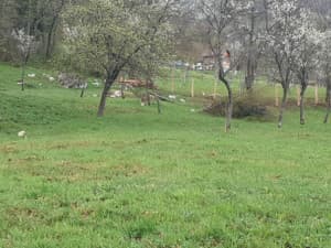 Weekend house Kladanj photo 20