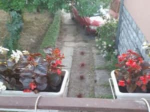 House in Loznica photo 4