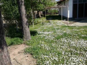 House Bijeljina photo 11