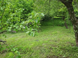 HOUSE IN THE KULA NEIGHBORHOOD, EXCHANGE FOR APARTMENT photo 3