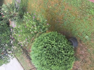House Bugojno 280m2 photo 17