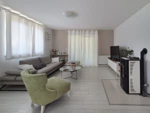 House Lepenica photo 6