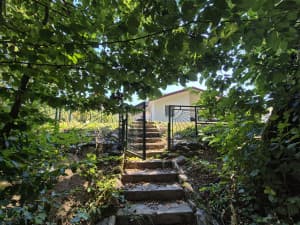 House Lepenica photo 10