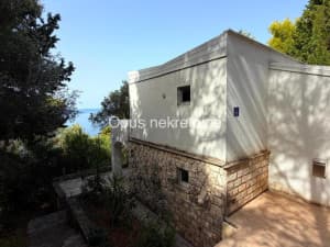 Slano, Sladenovici - house second row from the sea surrounded by greenery