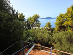 Slano, Sladenovici - house second row from the sea surrounded by greenery photo 3