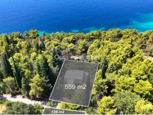 Slano, Sladenovici - house second row from the sea surrounded by greenery photo 14