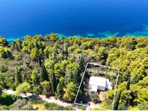 Slano, Sladenovici - house second row from the sea surrounded by greenery photo 16