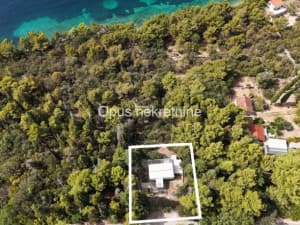 Slano, Sladenovici - house second row from the sea surrounded by greenery photo 18