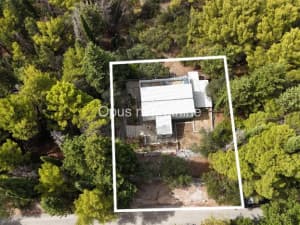 Slano, Sladenovici - house second row from the sea surrounded by greenery photo 19