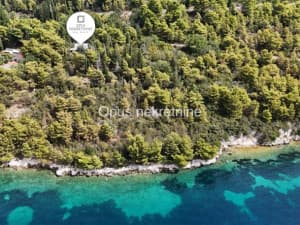 Slano, Sladenovici - house second row from the sea surrounded by greenery photo 24