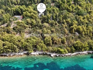 Slano, Sladenovici - house second row from the sea surrounded by greenery photo 25