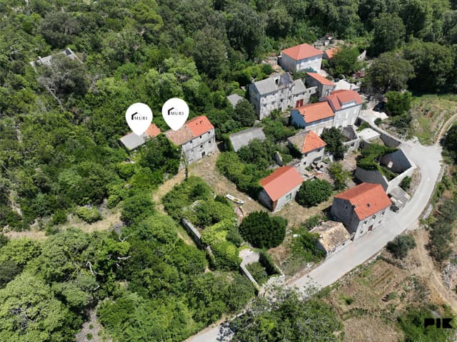 PELJEŠAC, PIJAVIČINO - Stone houses for renovation 250m2