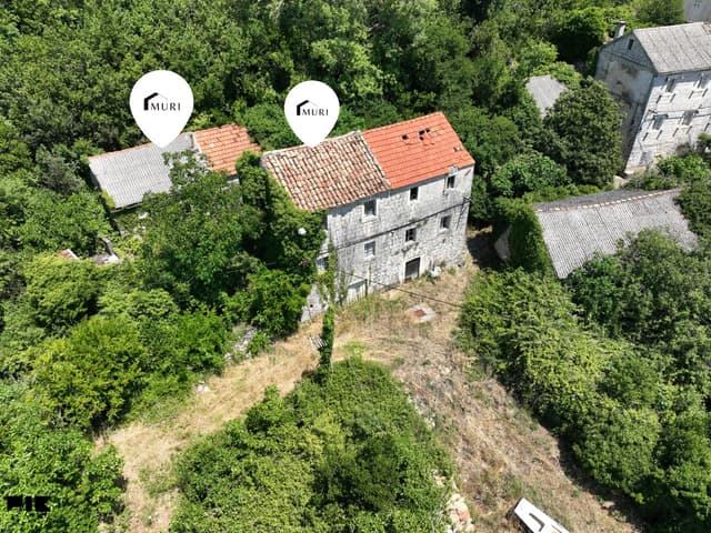 PELJEŠAC, PIJAVIČINO - Stone houses for renovation 250m2 photo 3