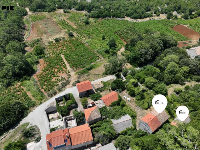 PELJEŠAC, PIJAVIČINO - Stone houses for renovation 250m2 photo 5