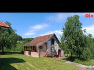 House Srbac photo 3