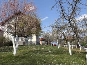 Two houses, Cerik, Tuzla photo 6