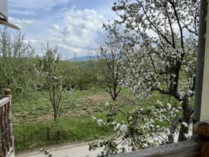 Move-in ready house - Vitez - Ahmići - 180m2 house, 550 m2 yard photo 16